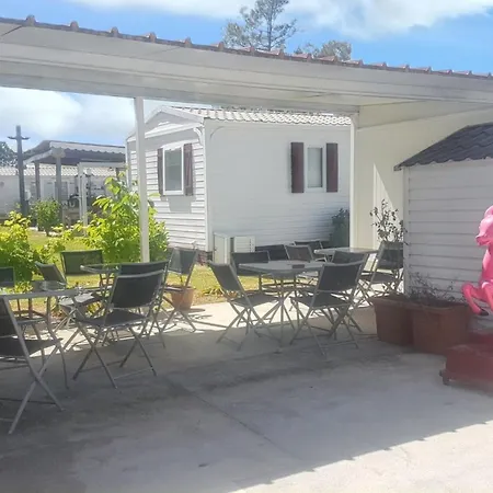 Charming In With Shared Pool
